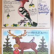 Čechocá O. / Jágr M. / Kovařík J. / Zápal J. – 4 x omalovánka / 4 x coloring book