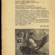 Odvárko Stanislav – Almanach pro poesii a život 1920-1930