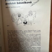 Toyen - Štyrský - Teige - Brouk - Biebl - Nezval a další – Ani labuť ani Lůna