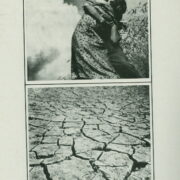 katalog / catalogue – Avantgardní fotografie 30. let na Moravě