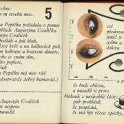 Pick J.R. – Dobrodružství Kytičky Pepičky