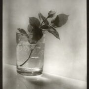 Profily I – Josef Sudek