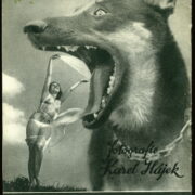 katalog / catalogue – Karel Hájek 1900-1960