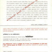 katalog a prospekt / catalogue and prospectus – L.Moholy-Nagy / + orig.prospectus Telehor