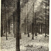 časopis / journal – Magazin DP / kompletní III.ročník /