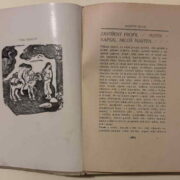 časopisy / journals – Moderní Revue - ročník XIII. (svazek 19)
