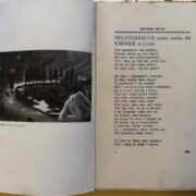 časopisy / journals – Moderní Revue - ročník XVI. (svazek 22)