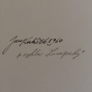Kubíček Jan – Originální fotografie z cyklu Lunaparky