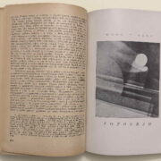 Revue pro literaturu a umění – Plán ( kompletní 1. ročník )
