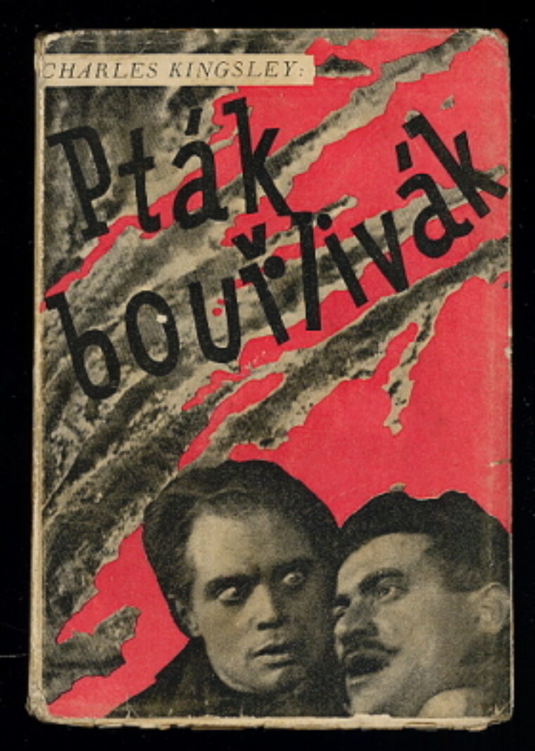 Kingsley Charles – Pták bouřlivák
