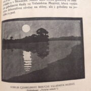 Fastrová Olga – Útulný domov