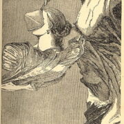 Eluard Paul / Štyrský Jindřich – Veřejná růže