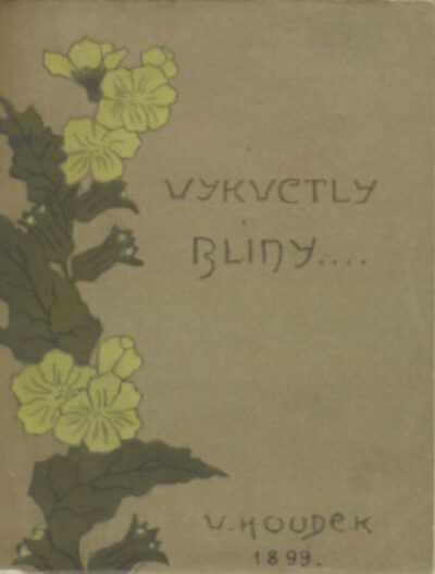 Houdek Vladimír – Vykvetly blíny