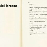 Przyboš Juljan – Wglab las