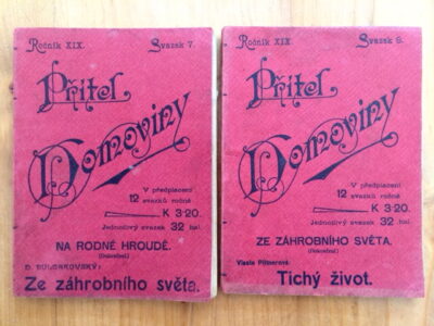 Bulgakovský D. – Ze záhrobního světa