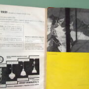 Obrázkový magazín dnešní doby – Žijeme 1931 - 32